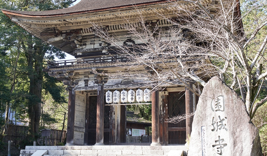 歴史・文化